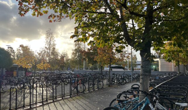 Kuvassa Lappeenrannan kampuksen pyöräparkki.