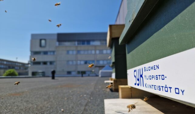 Kuva SYKin mehiläispesästä. Kuvassa pörrää myös mehiläisiä.